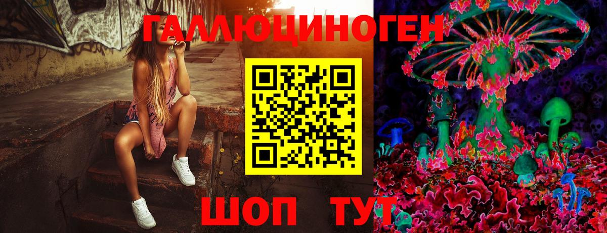 Галлюциногенные грибы Psilocybe Рассказово