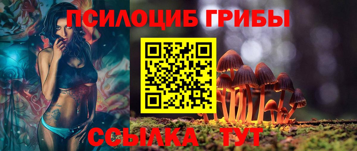 Галлюциногенные грибы Psilocybine cubensis  Вход с VPN  Рассказово 